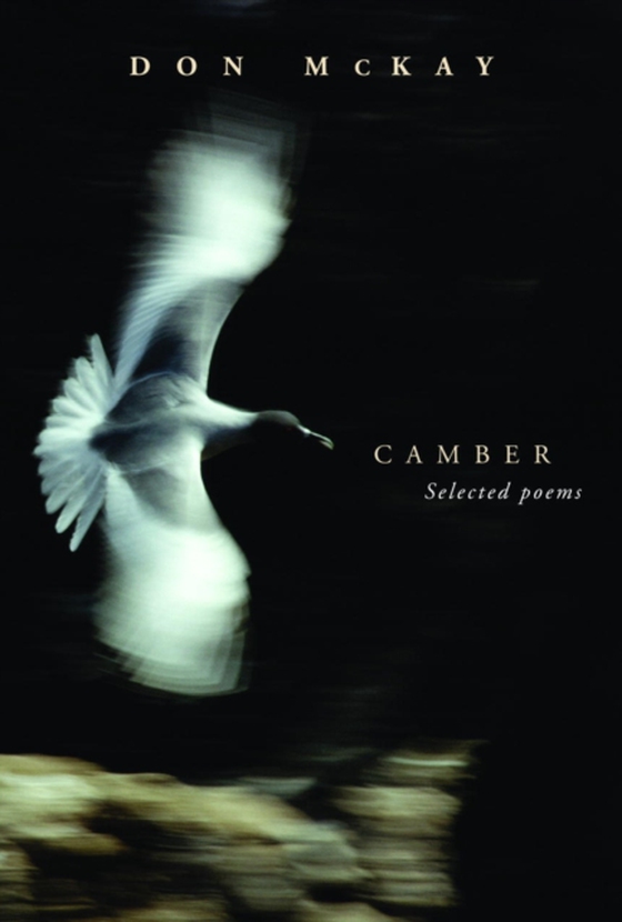 Camber (e-bog) af McKay, Don