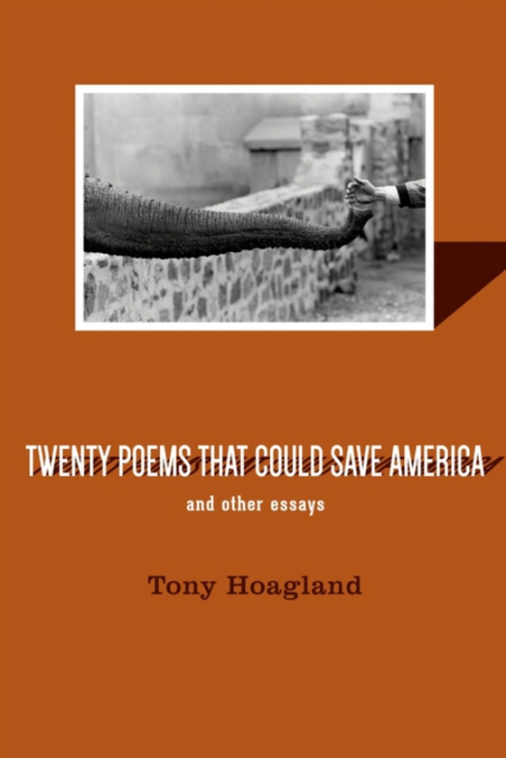 Twenty Poems That Could Save America and Other Essays (e-bog) af Hoagland, Tony