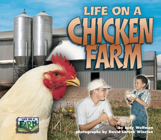 Life on a Chicken Farm