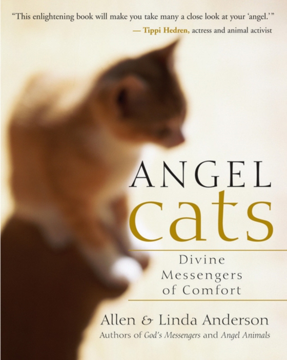 Angel Cats