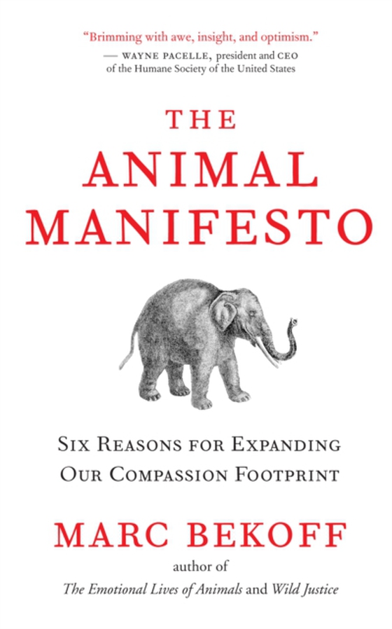 Animal Manifesto