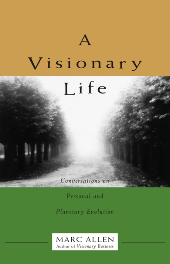 Visionary Life