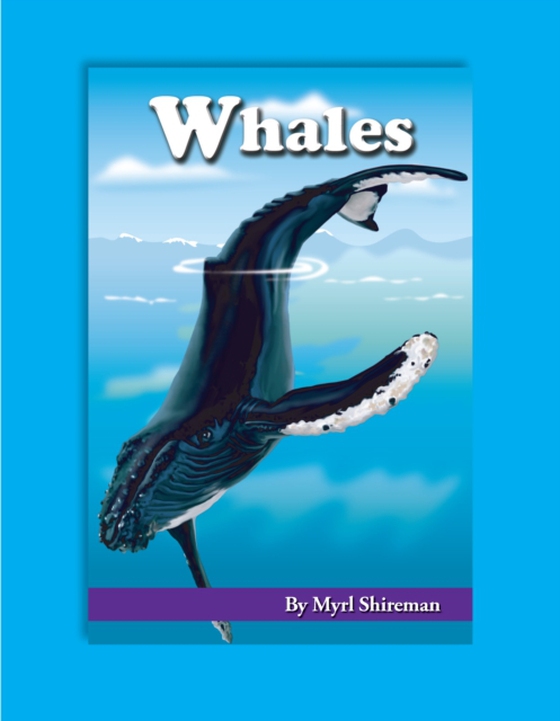 Whales (e-bog) af Shireman, Myrl