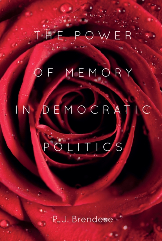 Power of Memory in Democratic Politics (e-bog) af Brendese, P. J.