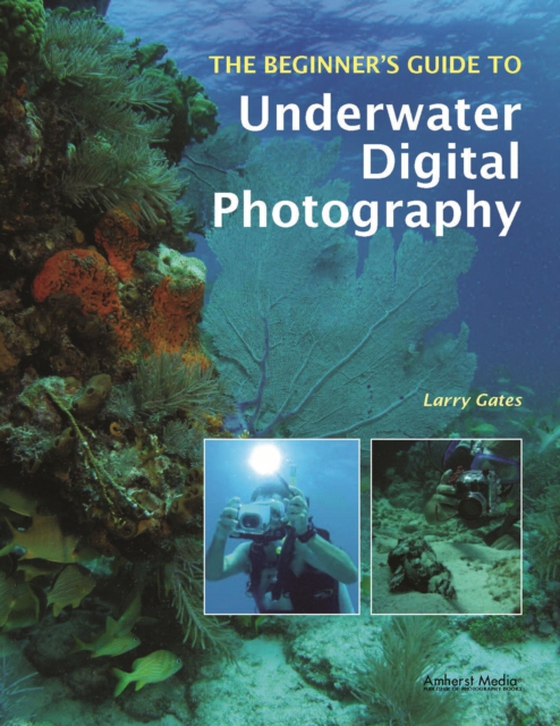 Beginner's Guide to Underwater Digital Photography