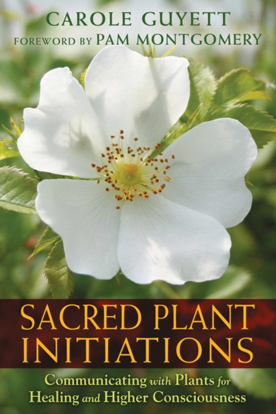 Sacred Plant Initiations