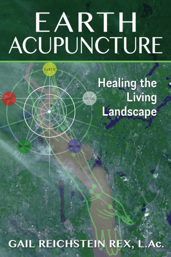 Earth Acupuncture (e-bog) af Rex, Gail Reichstein