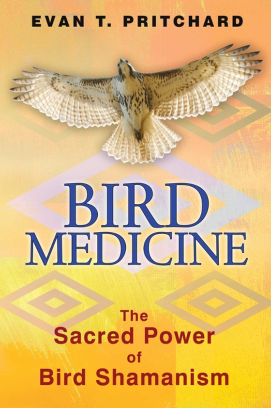 Bird Medicine (e-bog) af Pritchard, Evan T.