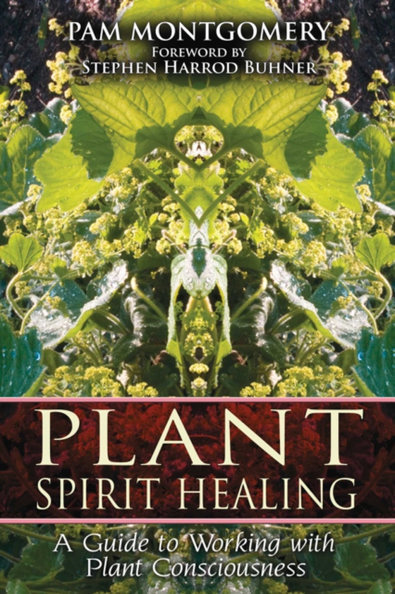 Plant Spirit Healing (e-bog) af Montgomery, Pam