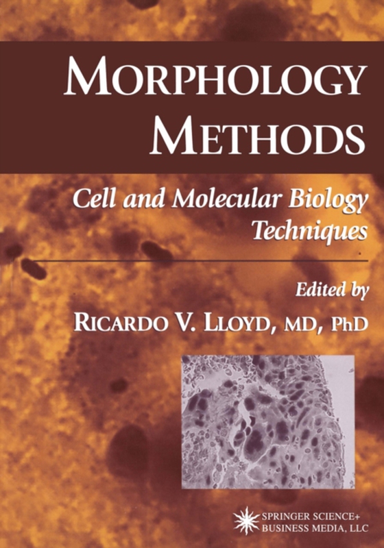 Morphology Methods (e-bog) af -