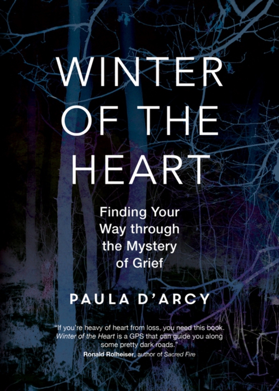 Winter of the Heart (e-bog) af D'Arcy, Paula