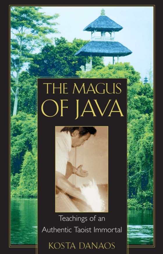 Magus of Java (e-bog) af Danaos, Kosta