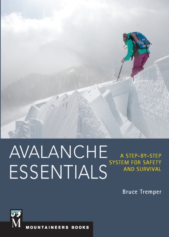 Avalanche Essentials (e-bog) af Tremper, Bruce