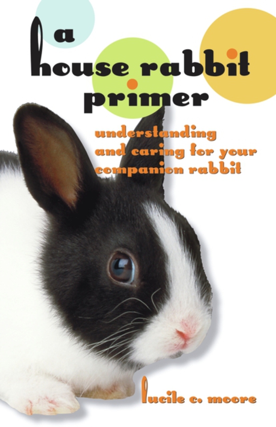 House Rabbit Primer