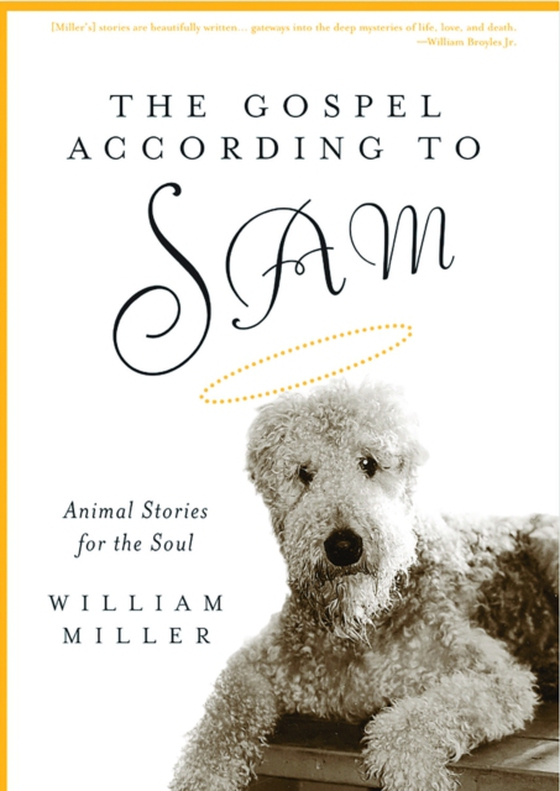 Gospel According to Sam (e-bog) af Miller, William