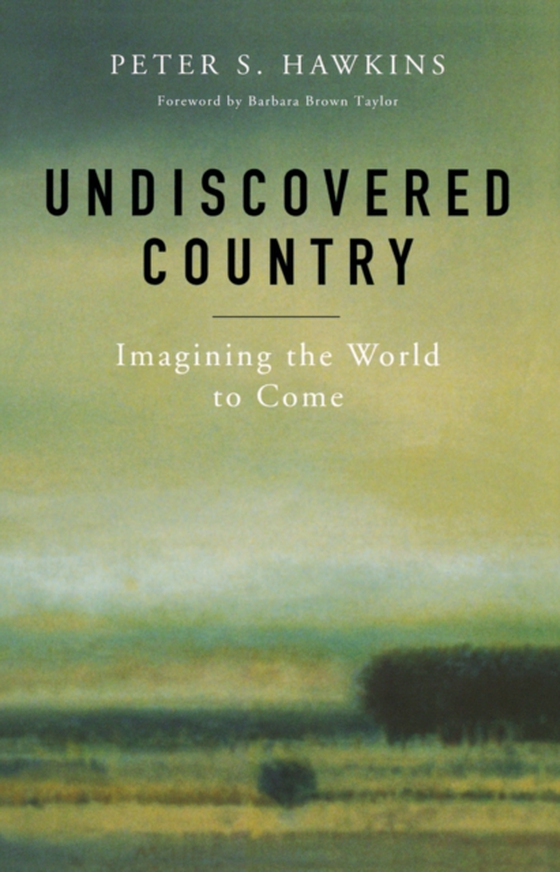 Undiscovered Country (e-bog) af Hawkins, Peter S.