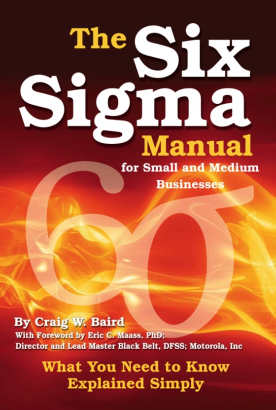 Six Sigma Manual for Small and Medium Businesses