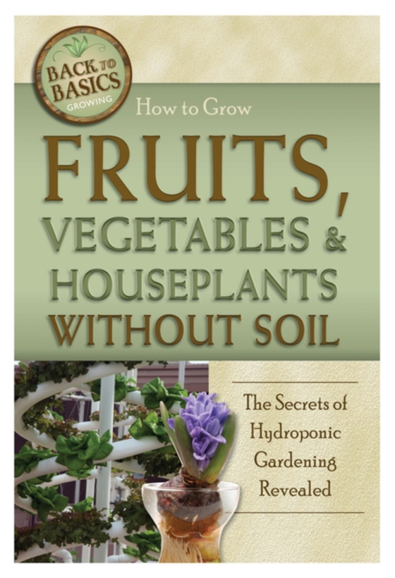 How to Grow Fruits, Vegetables & Houseplants Without Soil