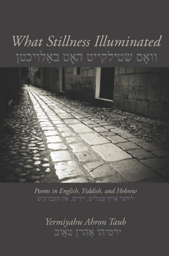 What Stillness Illuminated (e-bog) af Taub, Yermiyahu Ahron