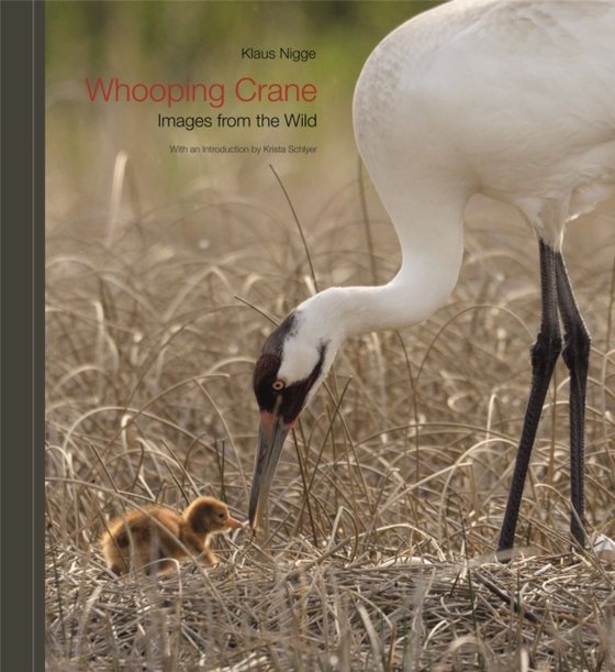 Whooping Crane (e-bog) af Nigge, Klaus