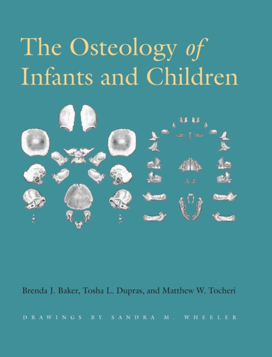 Osteology of Infants and Children (e-bog) af Tocheri, Matthew W.