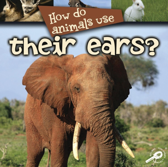 How Do Animals Use... Their Ears? (e-bog) af Stone, Lynn