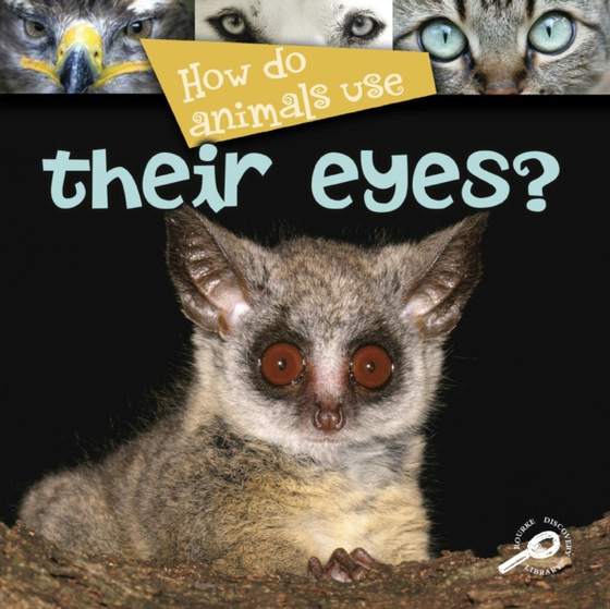 How Do Animals Use... Their Eyes? (e-bog) af Stone, Lynn