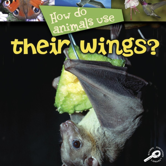 How Do Animals Use... Their Wings? (e-bog) af Stone, Lynn