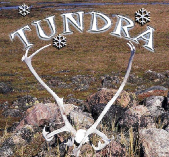 Tundra