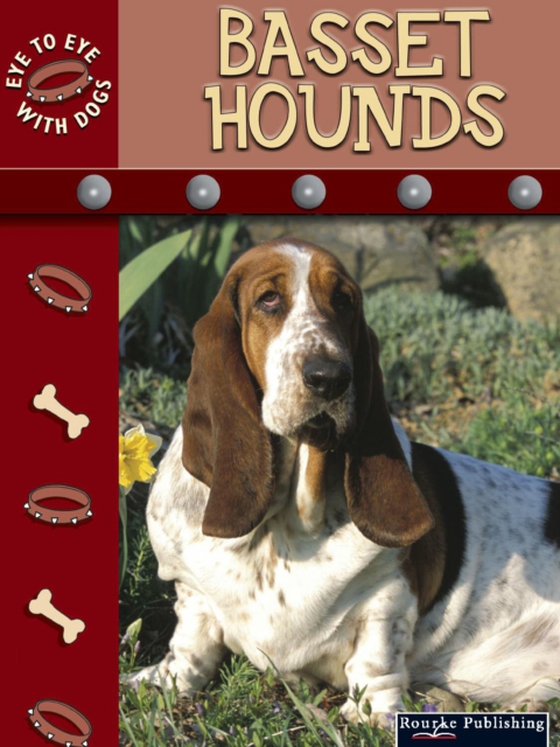 Basset Hounds (e-bog) af Stone, Lynn