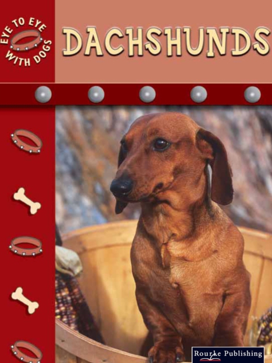 Dachshunds