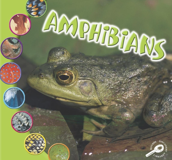 Amphibians (e-bog) af O'Hare, Ted