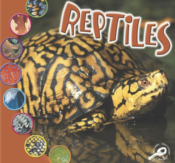 Reptiles (e-bog) af O'Hare, Ted