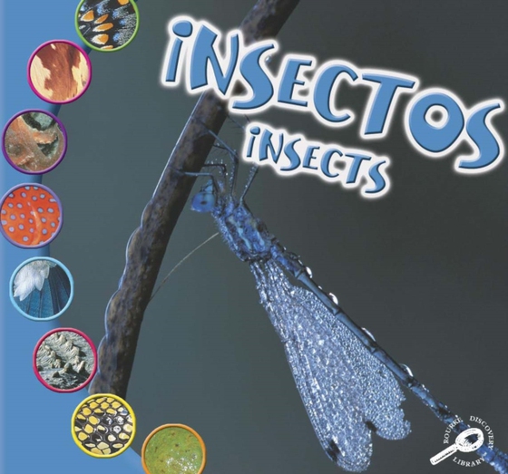 Insectos (e-bog) af O'Hare, Ted