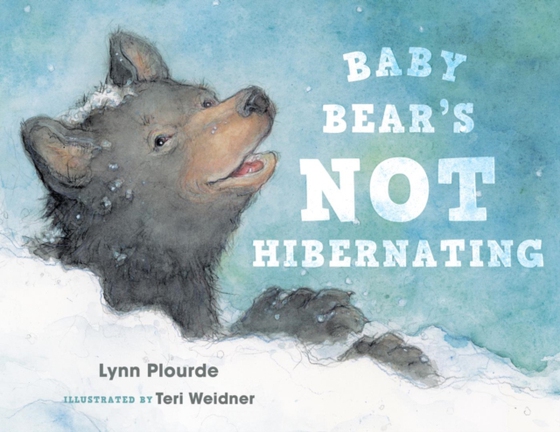 Baby Bear's Not Hibernating (e-bog) af Plourde, Lynn