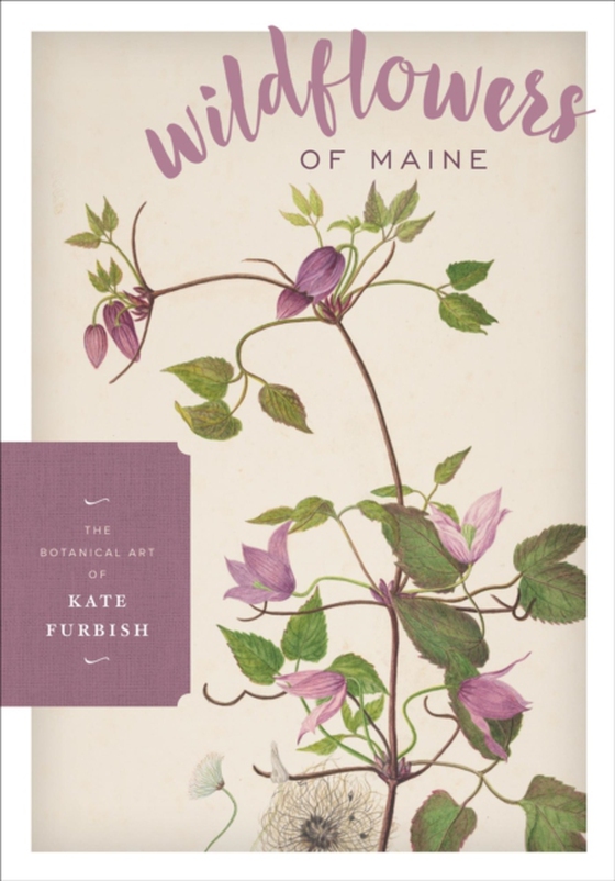 Wildflowers of Maine (e-bog) af -