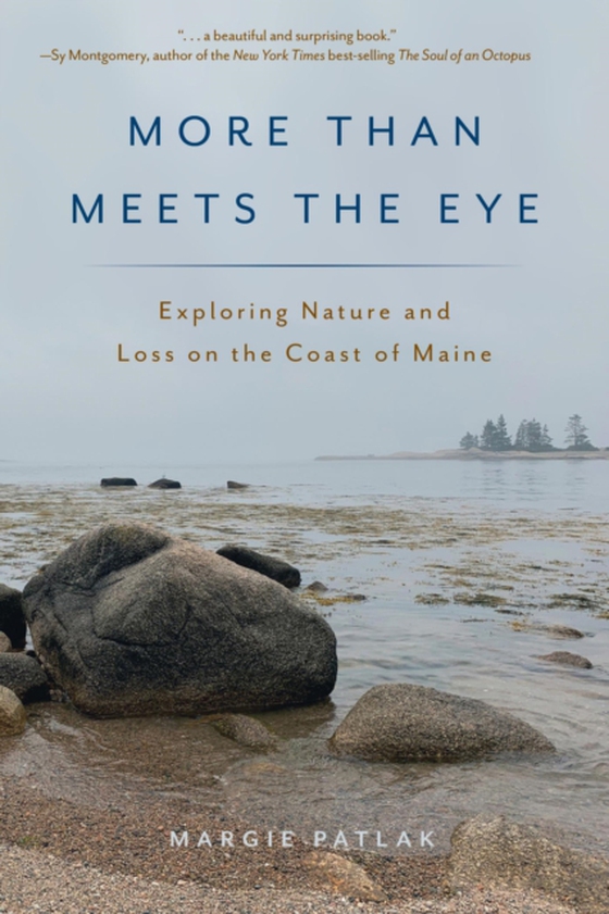 More Than Meets the Eye (e-bog) af Patlak, Margie