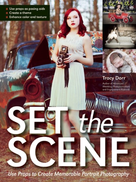 Set the Scene (e-bog) af Dorr, Tracy