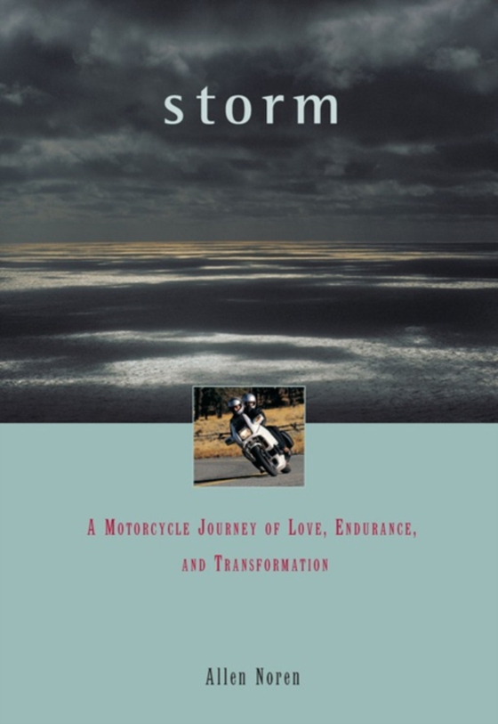 Storm (e-bog) af Noren, Allen