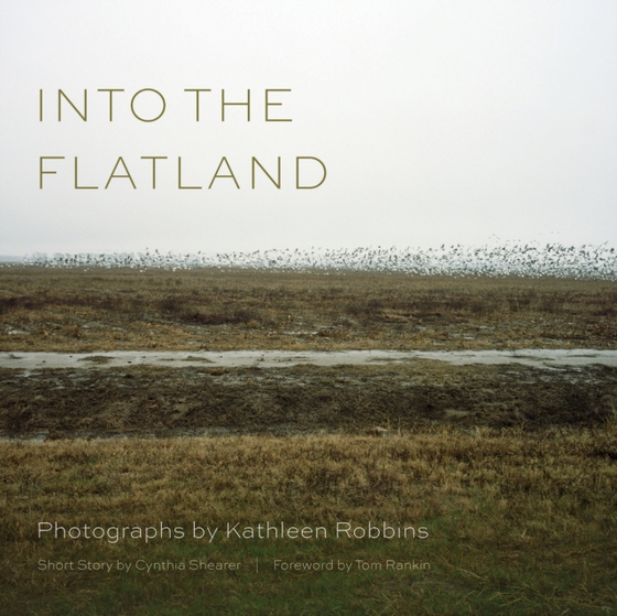 Into the Flatland (e-bog) af -