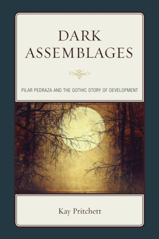 Dark Assemblages (e-bog) af Pritchett, Kay