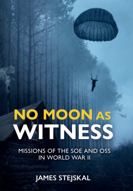 No Moon as Witness (e-bog) af Stejskal, James