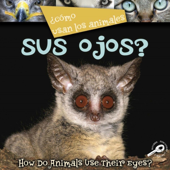  Como usan los animales... sus ojos?