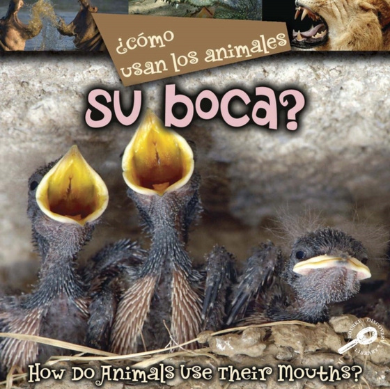  Como usan los animales... su boca?