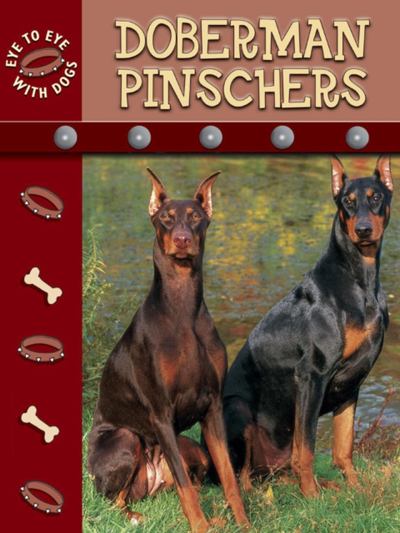 Doberman Pinschers