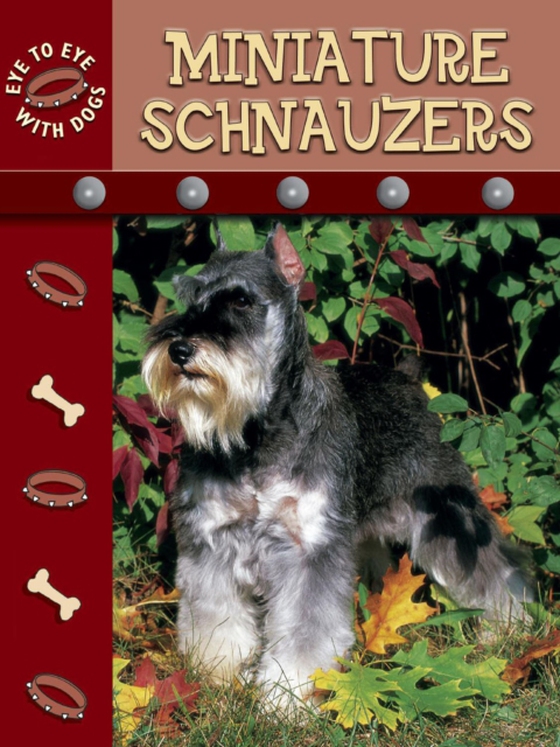 Miniature Schnauzer (e-bog) af Stone, Lynn