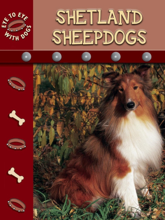 Shetland Sheepdogs (e-bog) af Stone, Lynn