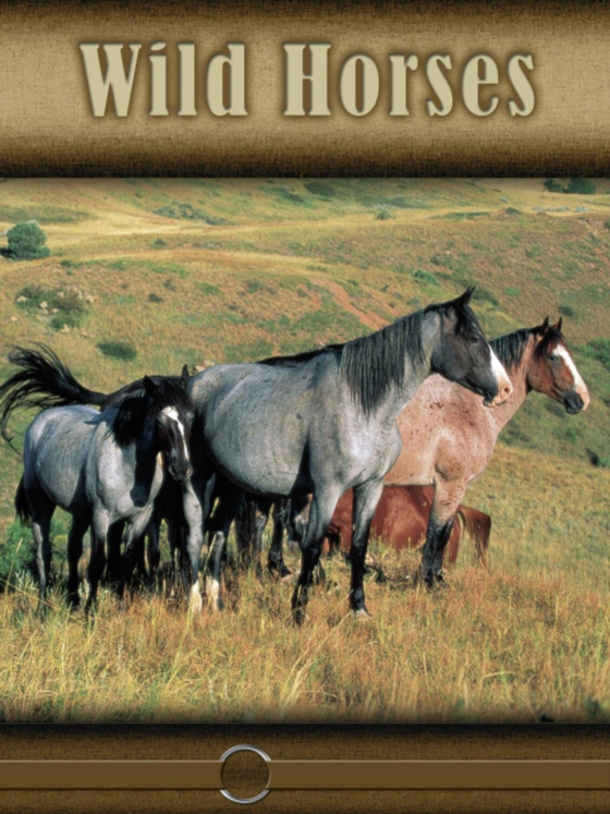 Wild Horses