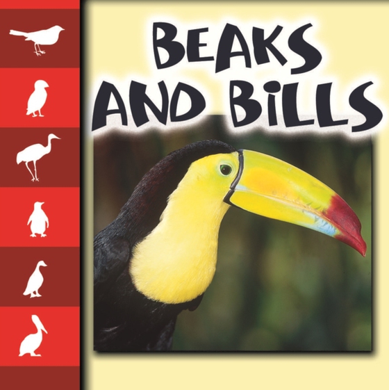 Beaks and Bills