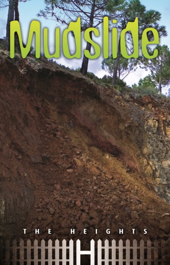 Mudslide (e-bog) af -